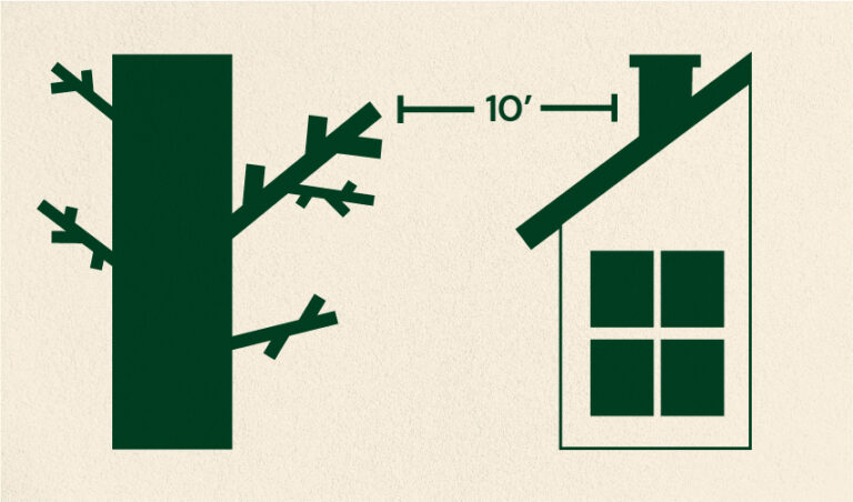 Prune branches hanging over your roof and within 10 feet of your chimney.