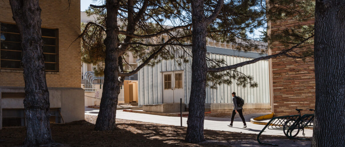 A person walks through a stretch of buildings flanked by trees
