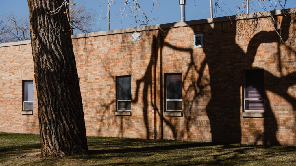 A large tree casts a shadow on a brick building