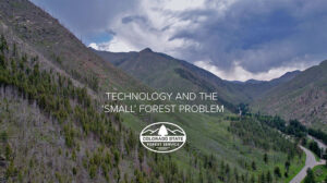 a forested mountain landscape photo with text on top that says Technology and the 'small' forest problem next to the Colorado State Forest Service logo.