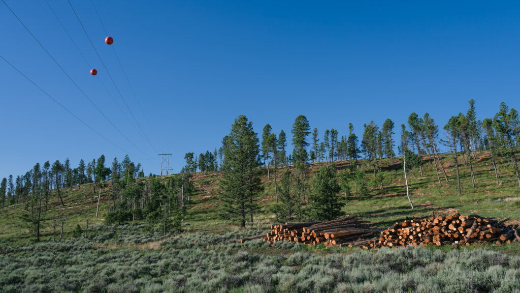Stacks of timber and powerlines on Poncha Pass