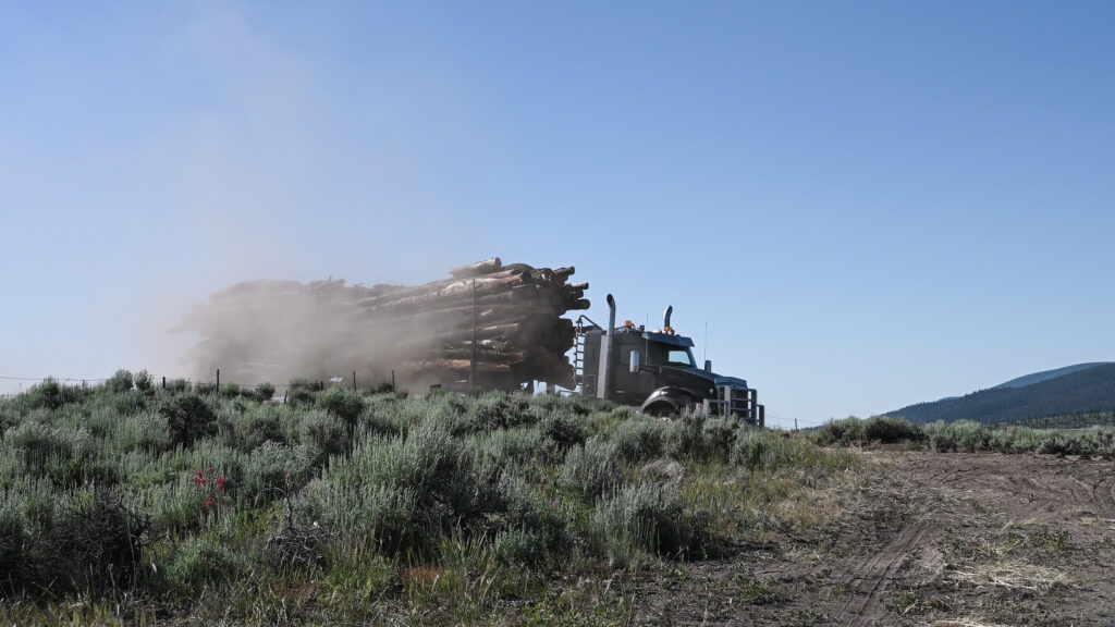 Logging truck drives on dusty road