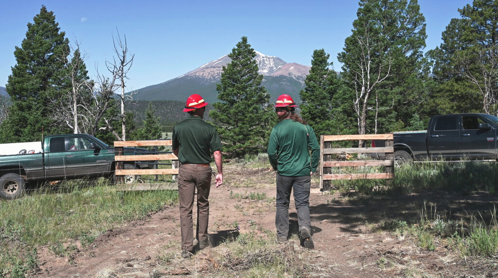 Two men walk toward a fence in front of the forest, with a mountain looming behind