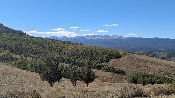 forested landscape with tall mountains in the distance with a blue sky above.