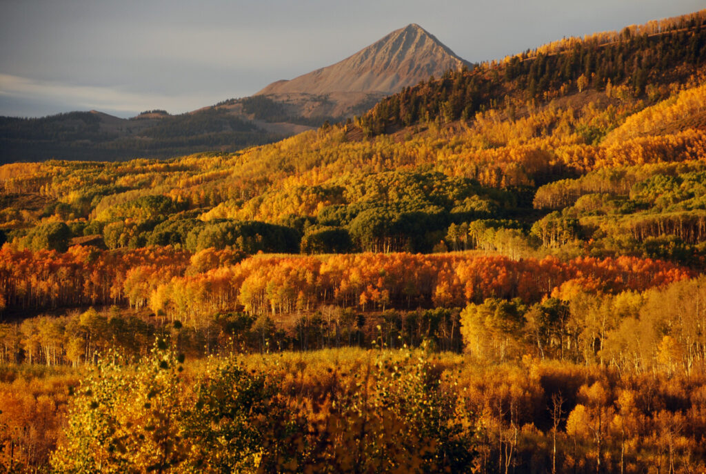 mountain with forested landscape in the foreground with vibrant fall colors