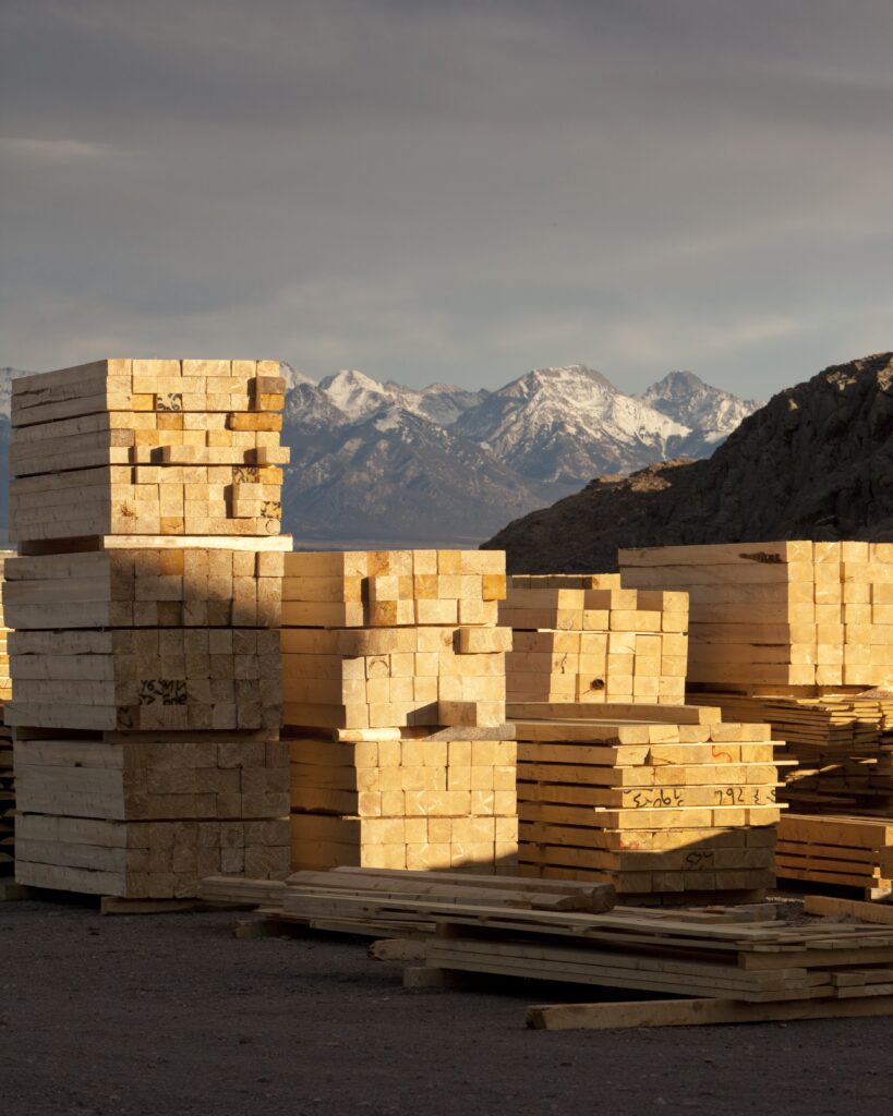 Stacks of wood against a mountain landscape