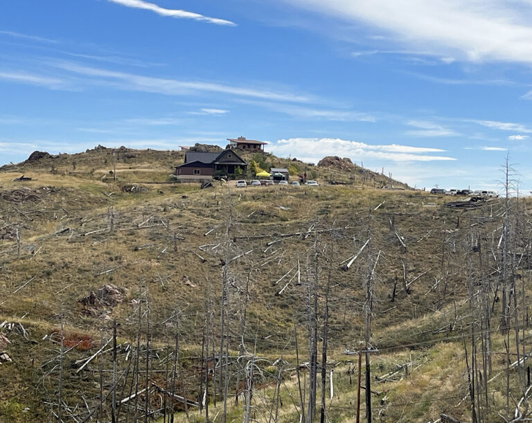 house on top of a mountainside with many standing dead trees in the foreground.