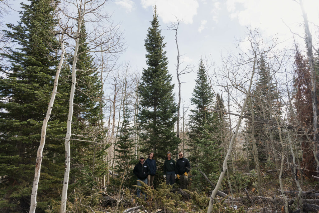 Four people stand in front of large fir tree in forest