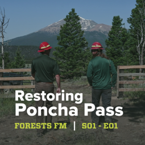 Restoring Poncha Pass
