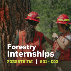 Forestry Internships