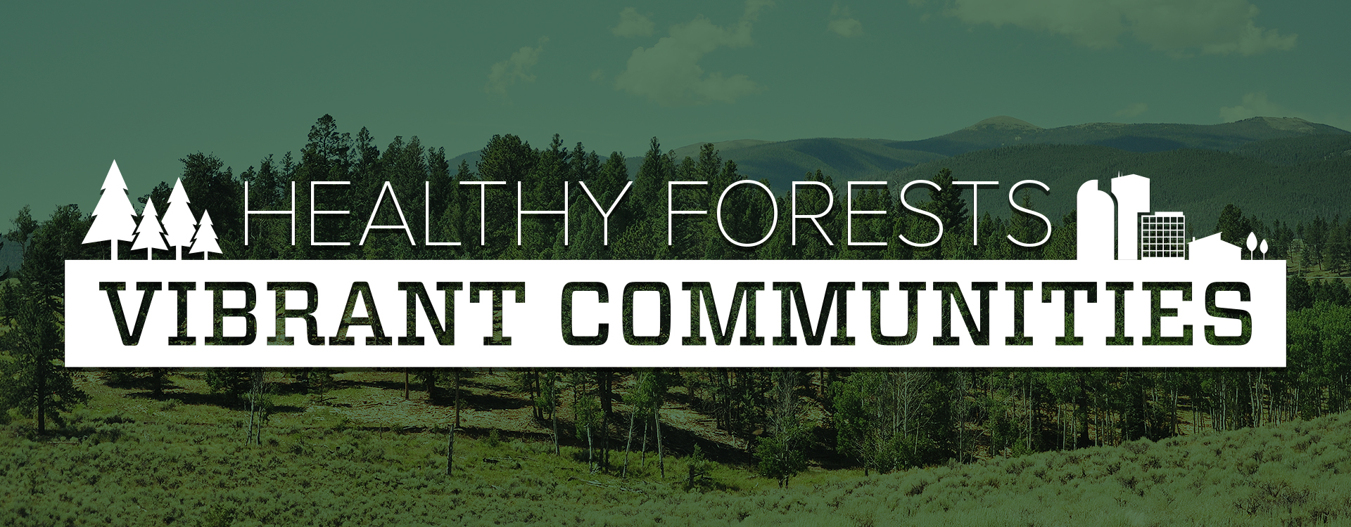 mountain landscape with text overlay that says healthy forests vibrant communities.