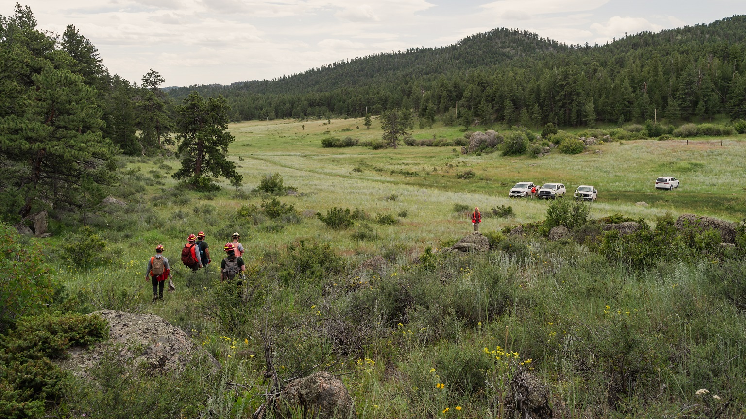 Foresters walk downhill toward trucks parked in a mountain meadow.