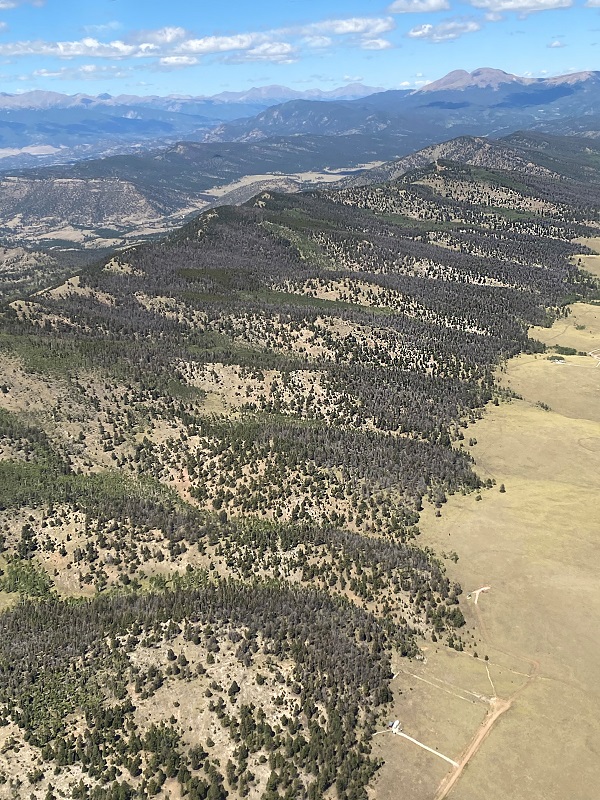 Aerial photo of hillsides with brown trees killed by western spruce budworm