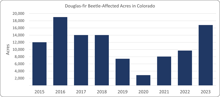 Graph of forested acres affected by Douglas-fir beetle in Colorado from 2015 to 2023