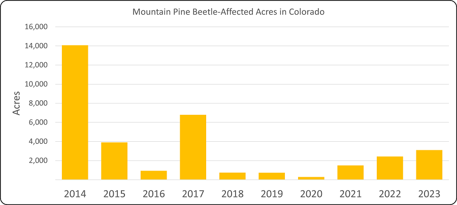 Mountain beetle pine continues to impact more acres in Colorado, although tree mortality from this insect is not even close to the levels experienced during the epidemic that subsided in 2014. Graph: Dan West, CSFS