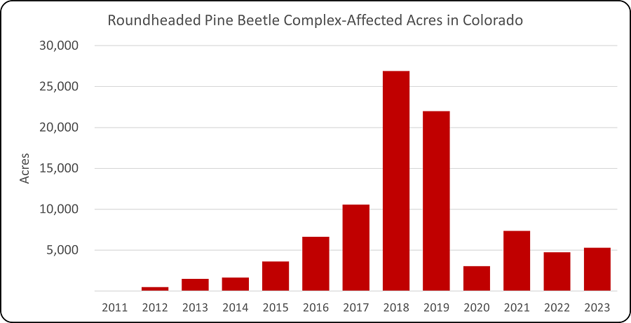 Roundheaded pine beetle and associated native bark beetles continues to impact forests in areas of southwest Colorado. Graph: Dan West, CSFS