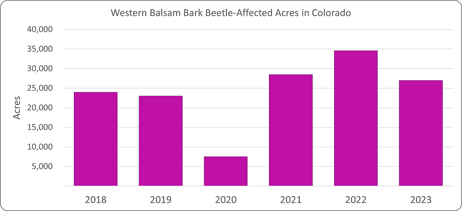 Western balsam bark beetle remains the deadliest forest pest in Colorado, despite it impacting fewer acres of forests than the previous year. Graph: Dan West, CSFS