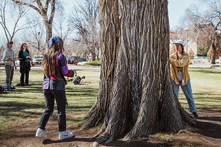 CSU students measure a large tree