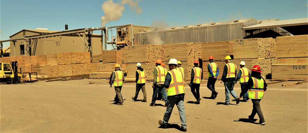 A group of CSFS employees in hard hats and vests walking by piles of processed lumber.