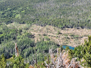 aerial view of blowdowns affecting the Sangre de Cristo mountains.