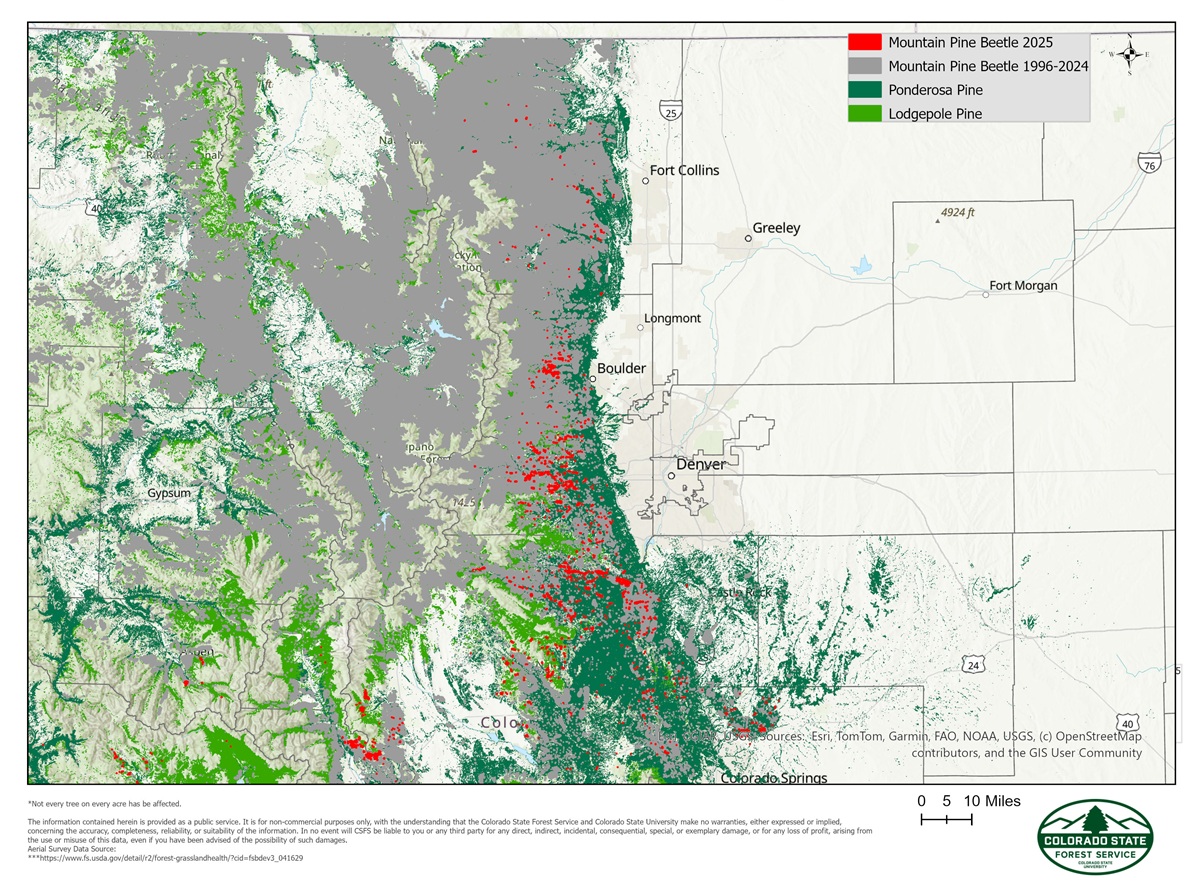 An historical map showing mountain pine beetle progression in Colorado forests