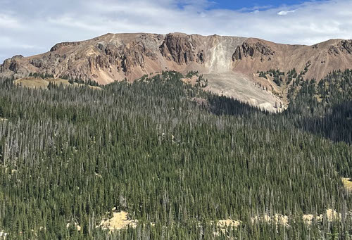 Michigan Ditch pre-fire mitigation project in the Colorado State Forest