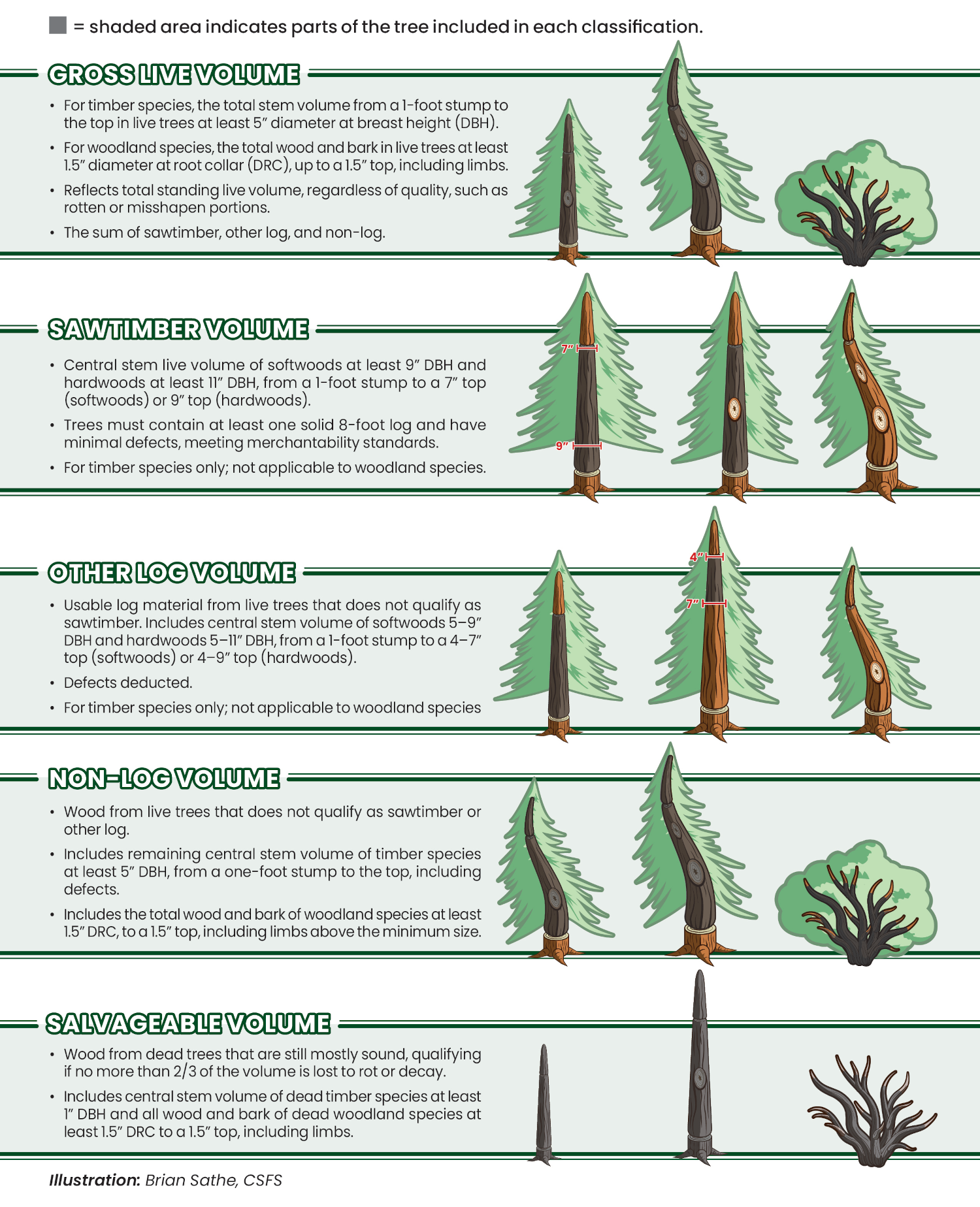 CSFS biomass diagram