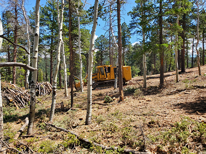 bulldozer pushes downed limbs into piles.