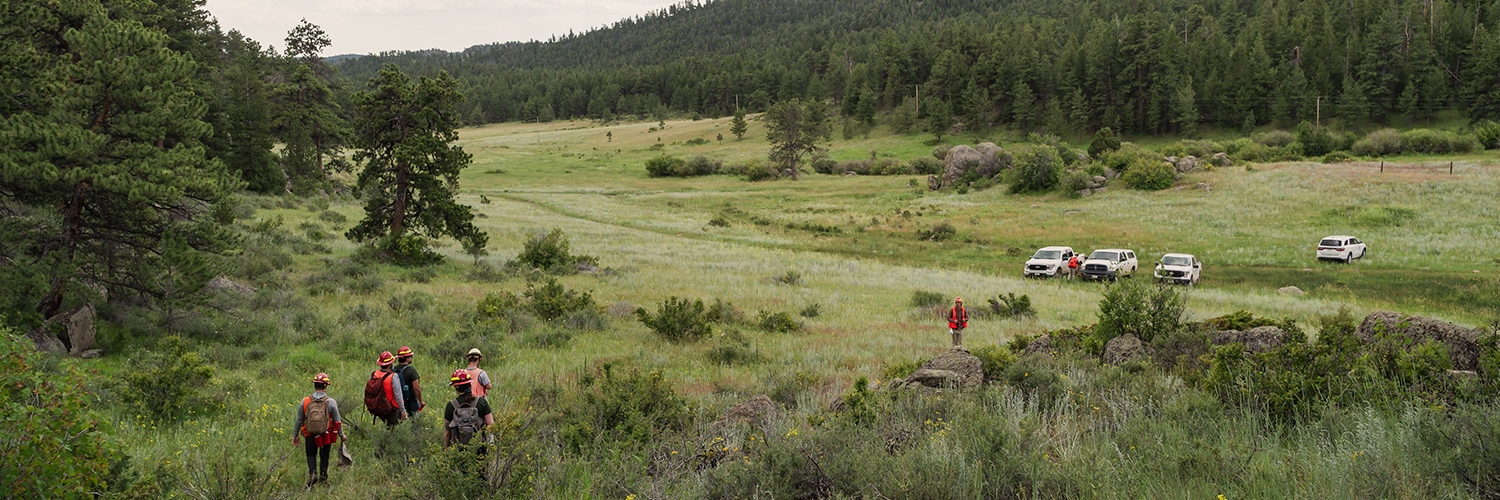 Foresters walk downhill toward trucks parked in a mountain meadow.