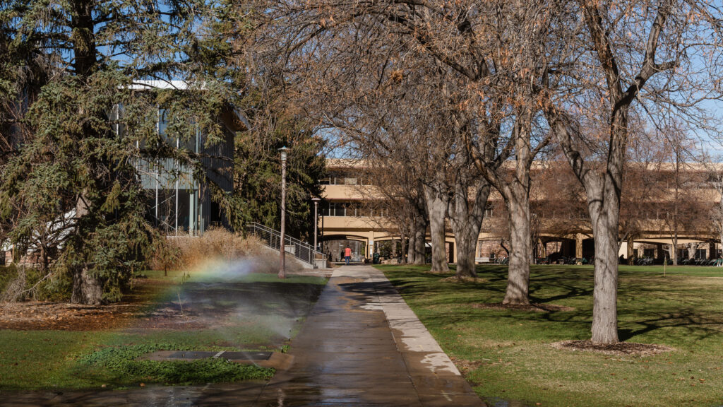 ALT TEXT: Trees along a walkway with sprinklers running on grass in an urban environment.