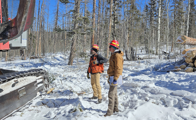 CSFS foresters supervising a winter timber harvest