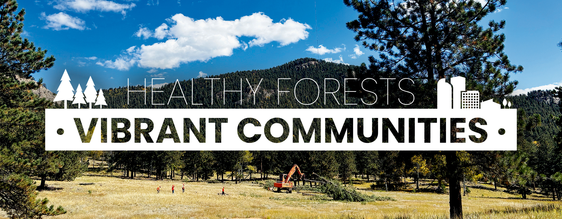 healthy forests vibrant communities