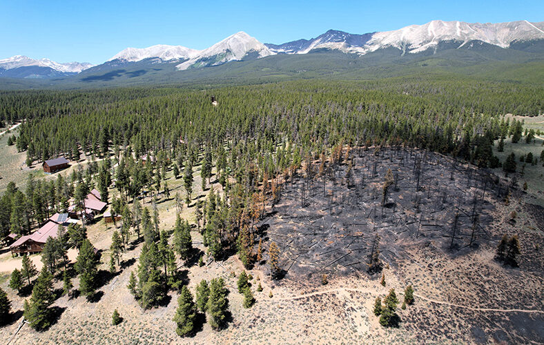 aerial view of a burn scar with snow covered mountains in the background.