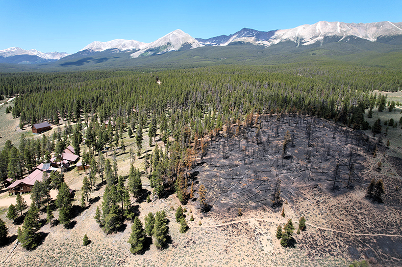 aerial view of a burn scar with snow covered mountains in the background.