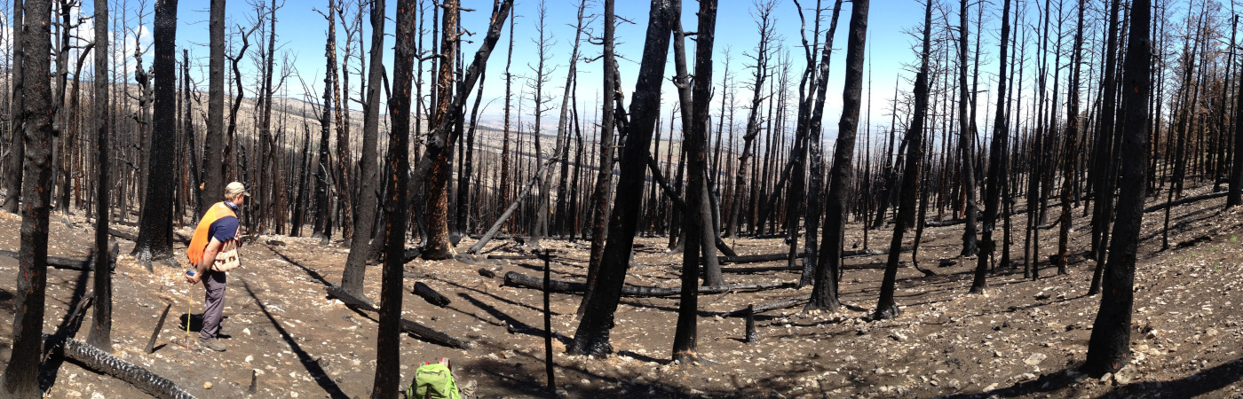 fia-colorado-post-fire-zach-1400w