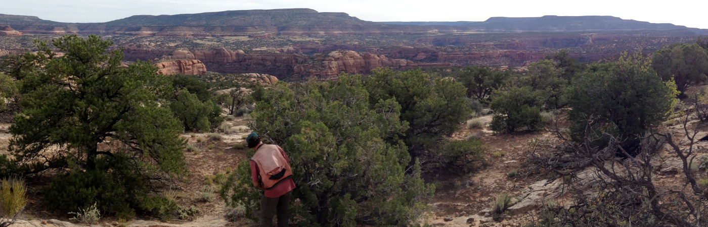 fia-colorado-slickrock-area-montrose-cty-peyton-2014