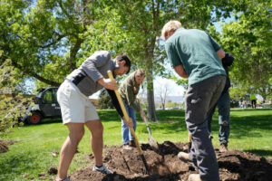 CSU students planting a tree on the Fort Collins campus on Arbor Day