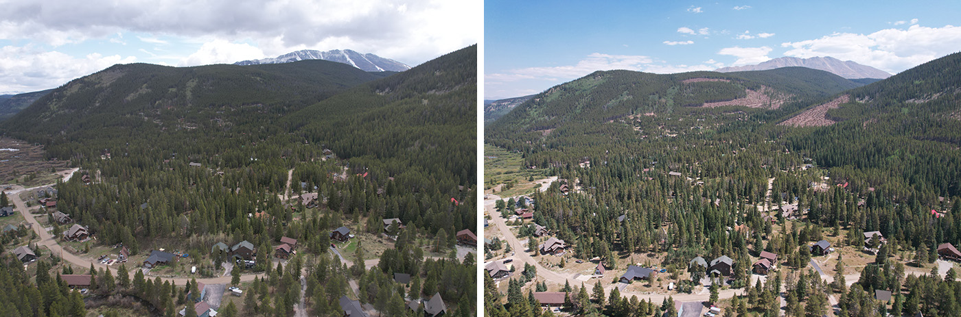 before and after forest thinning project in Blue River.
