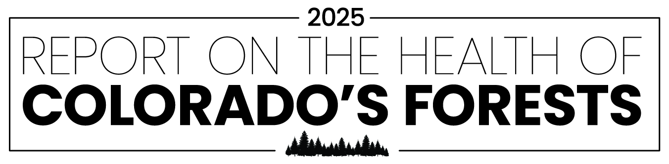 2025 CSFS Forest Health Report
