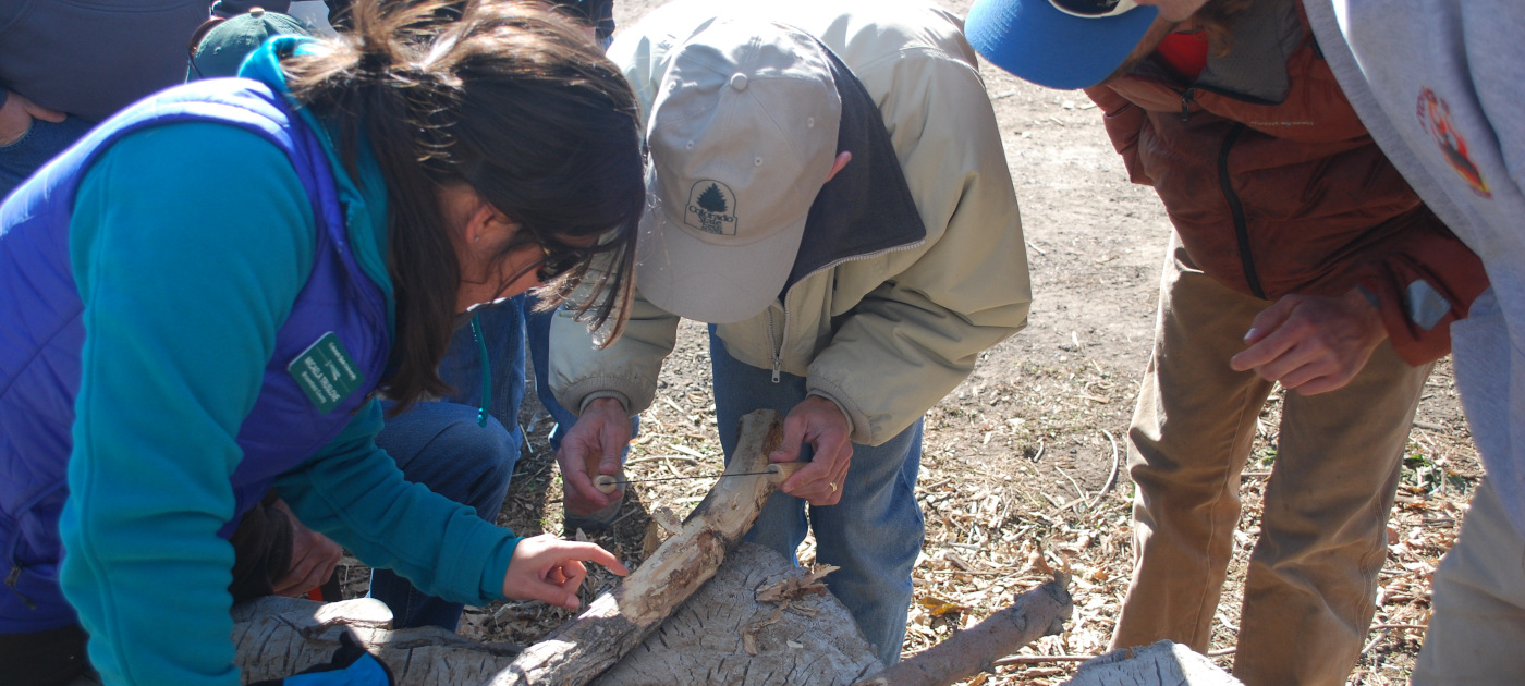 Participants of a workshop on EAB peel the branches of infested ash wood at a sort yard in Boulder County in November 2013. Photo: Ryan Lockwood, CSFS