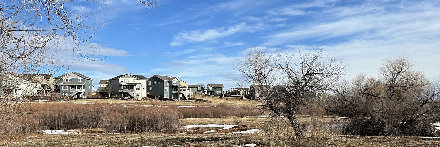 neighborhood next to recently completed fuelbreak.