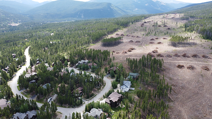 aerial view of a forest health project