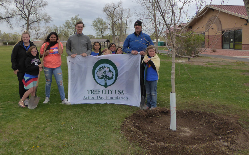 Citizens coming together to plant a tree