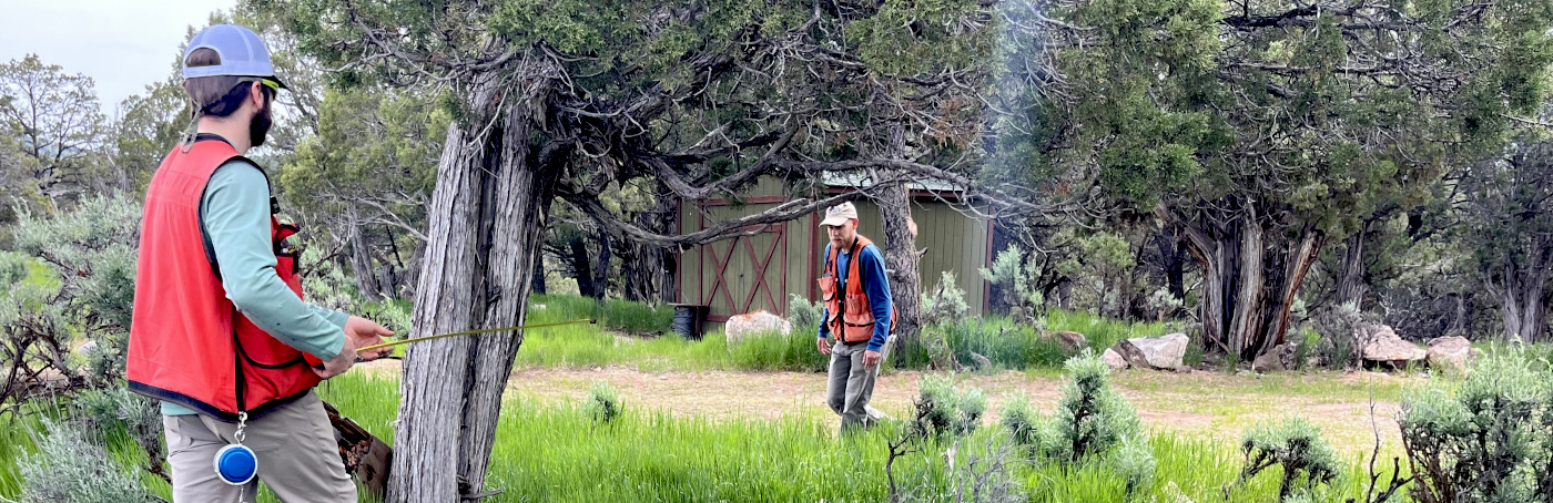 Colorado FIA crew measuring trees on a wooded property