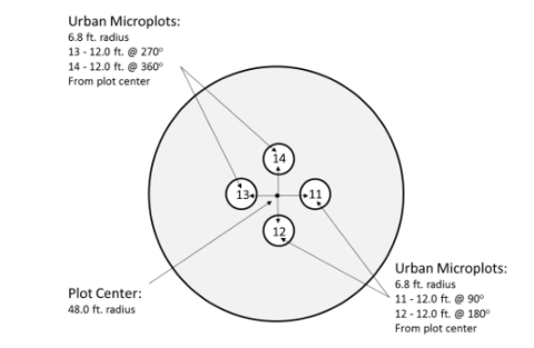 An FIA urban research plot.