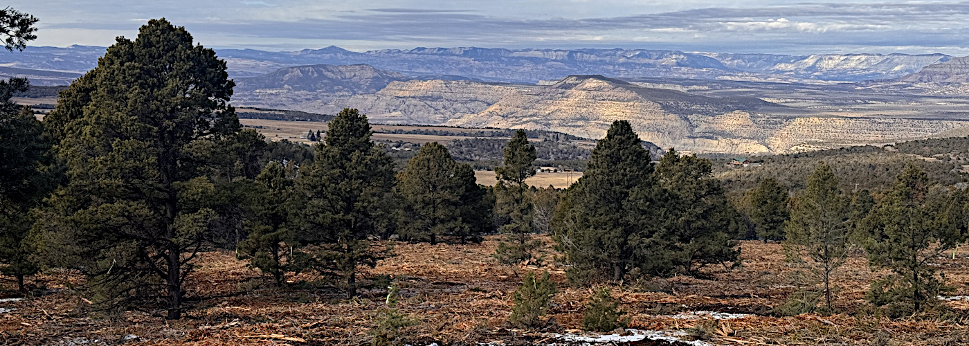 A landscape view of the forest types found in the Colorado State Forest Serivce Rifle Field Office area.