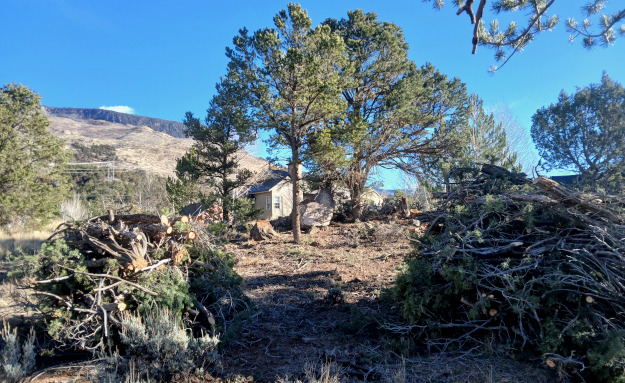 A fuels-reduction project in the CSFS Rifle Field Office area