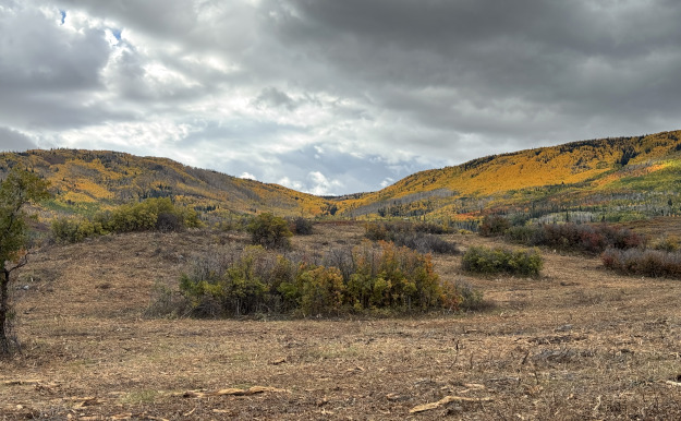 A Rifle, CO-area landscape cleared of oak vegetation to reduce wildfire risk