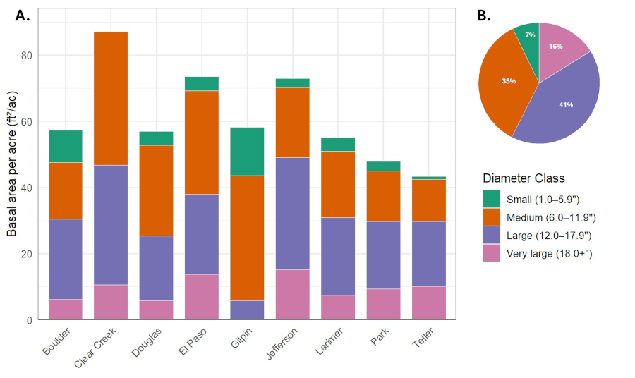 A bar chart showing Colorado Front Range ponderosa pine distribution