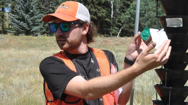 A CSFS forester adjusts a mountain pine beetle trap